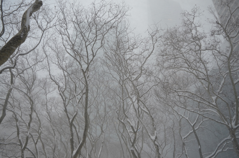 Illustration for article titled On the Ground in New York During a Blizzard